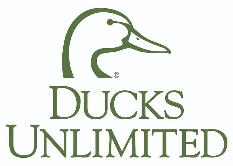 Image for Grant Awarded to Ducks Unlimited to Restore Critical Upland Habitat for Waterfowl in California’s Yolo Bypass