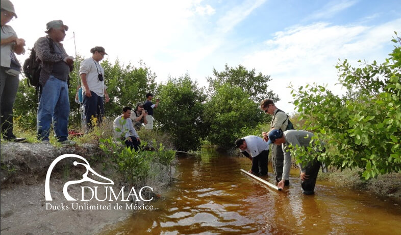 DUMAC background WEB.jpg