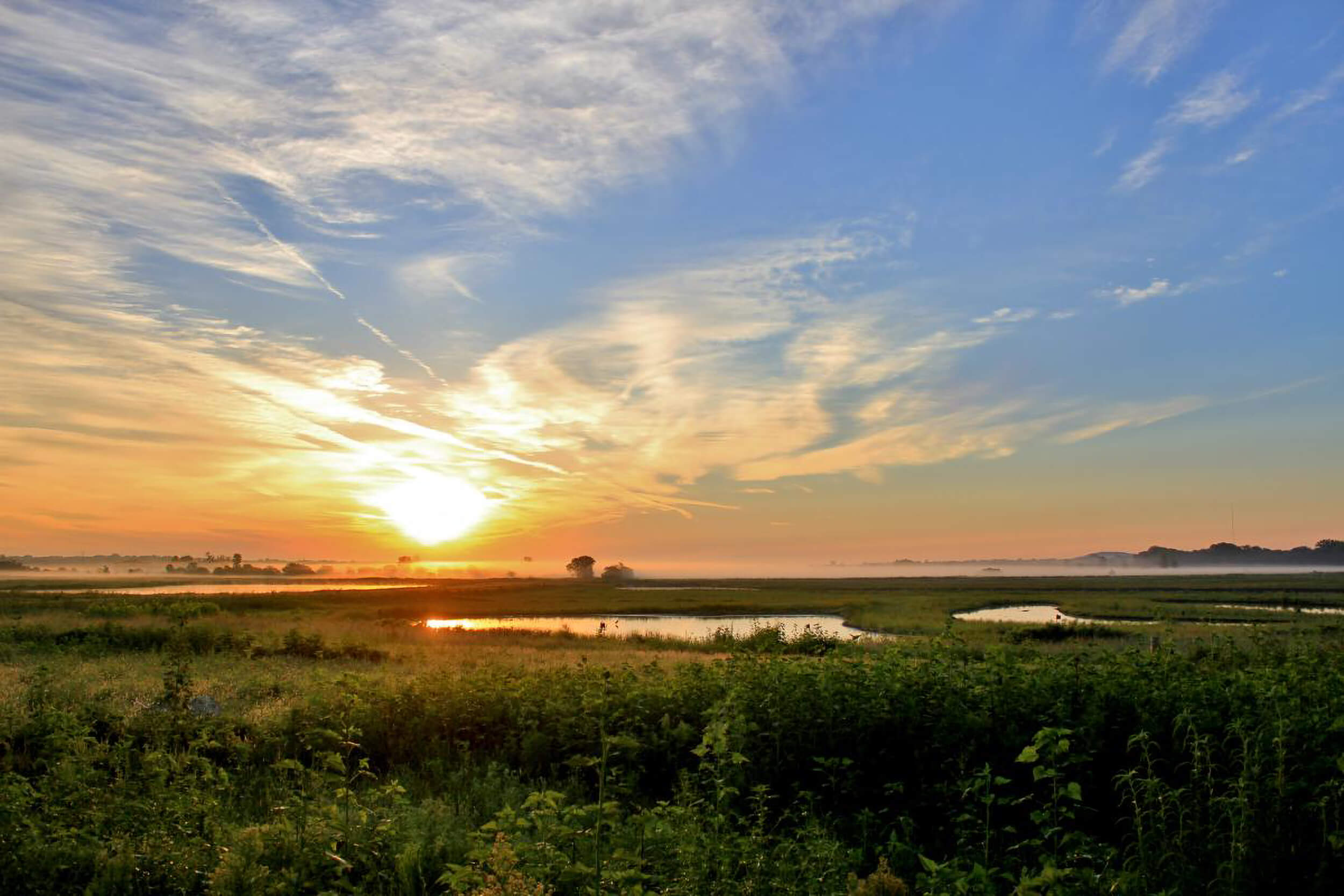 bakerwetlandsscenic_9d537645-f6f9-43ed-b215-f9162d857e2a 2.jpg