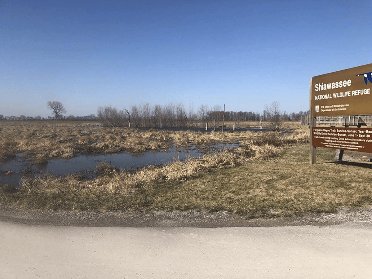Image for Ducks Unlimited Wins 2026 Michigan Outdoor Writers Association Clean Waterways Award