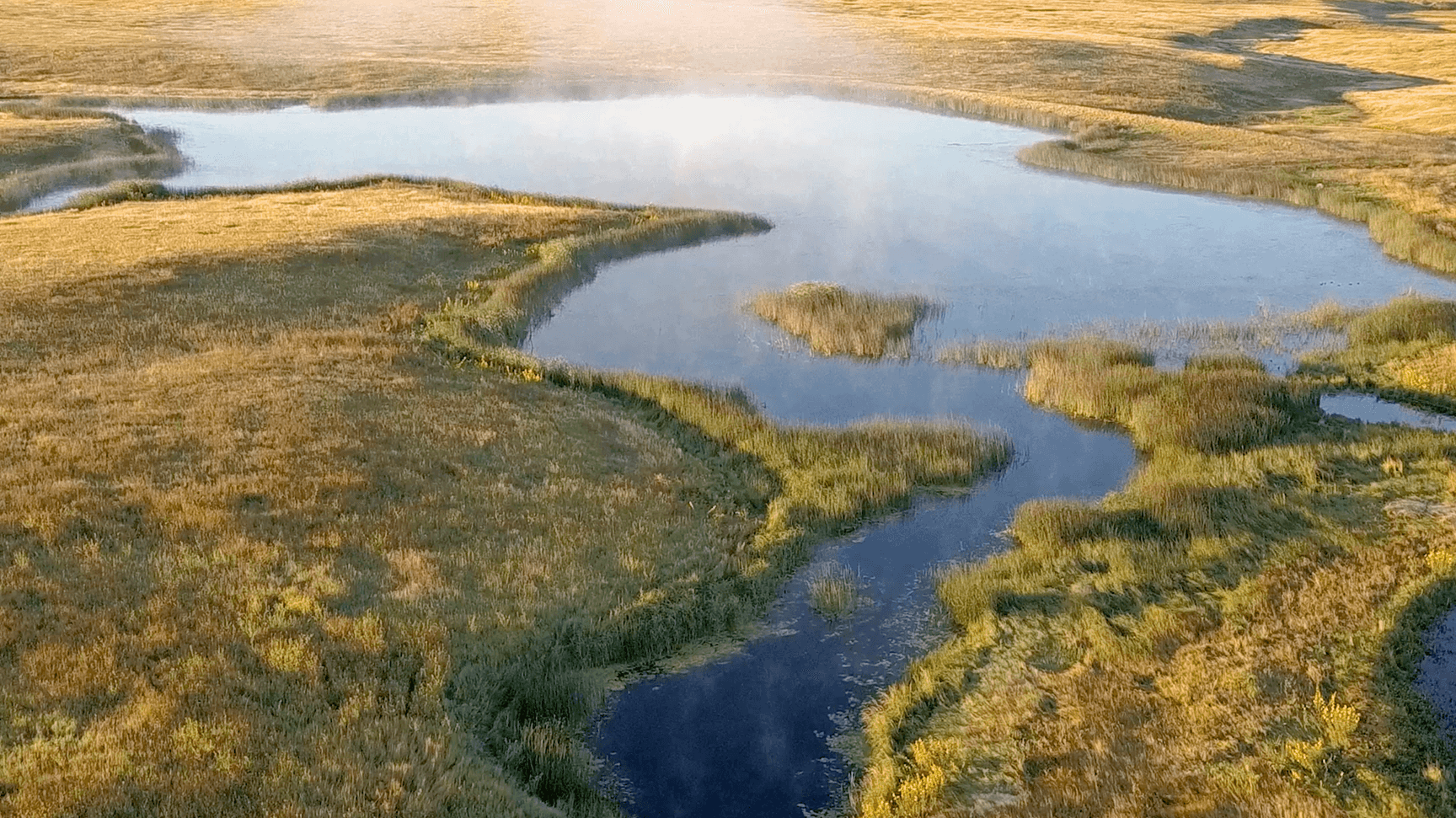 SD Grasslands.png