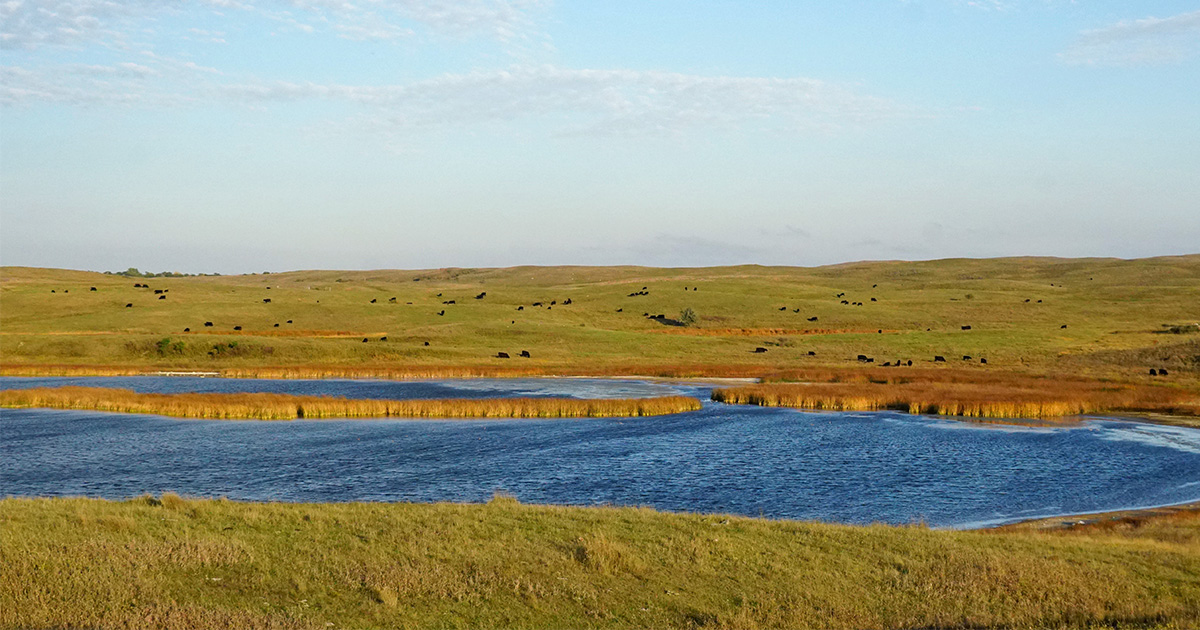 canadian prairies_web.jpg